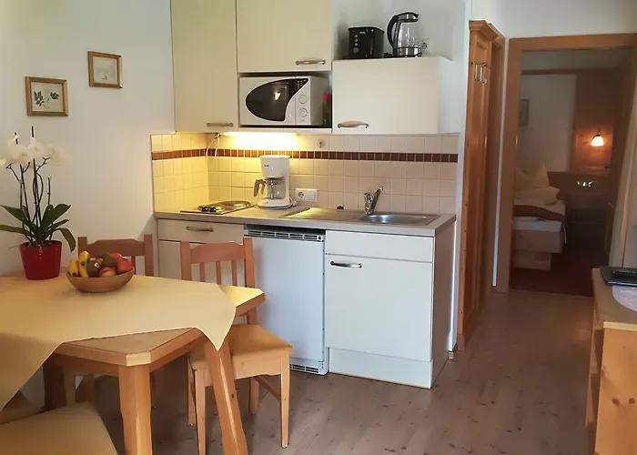 Hotel apartamentowy Austria Mayrhofen