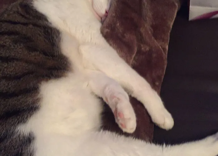 Austria Майргофен